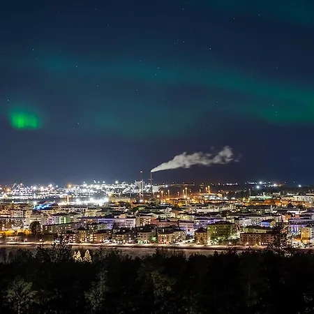 Arctic Night Nest